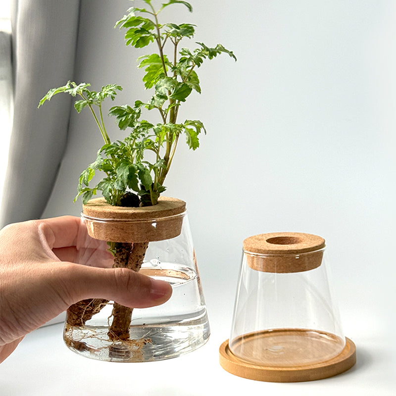 Vaso Idroponico Nordico