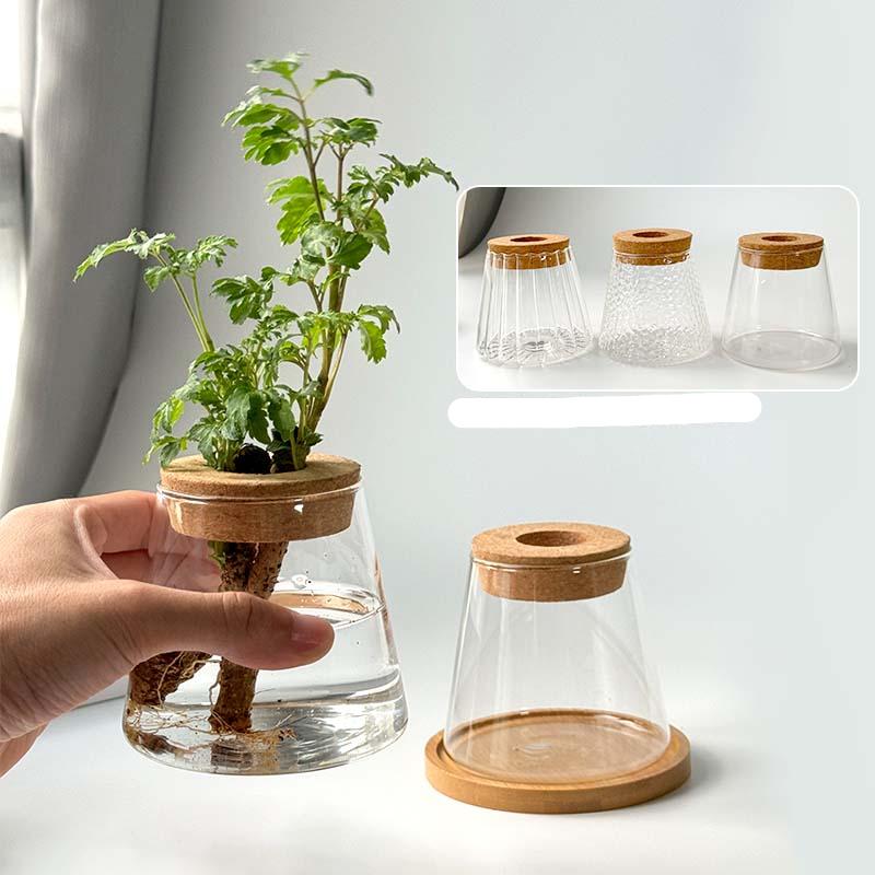Vaso Idroponico Nordico