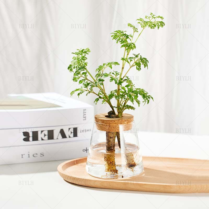 Vaso Idroponico Nordico