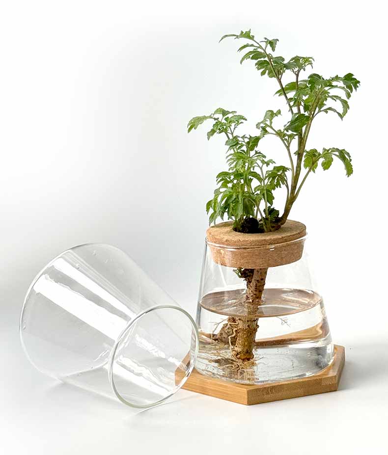 Vaso Idroponico Nordico