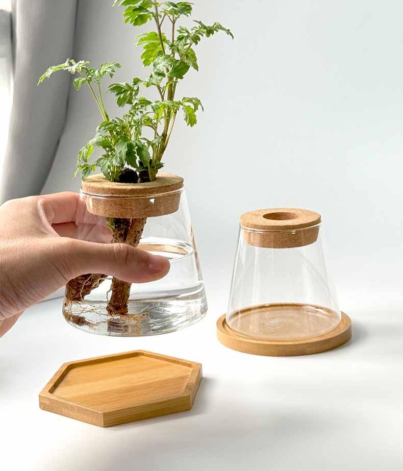 Vaso Idroponico Nordico
