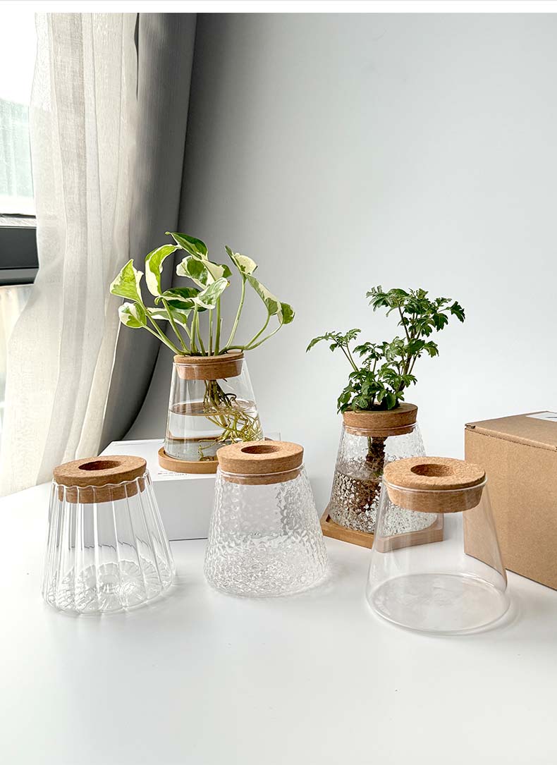 Vaso Idroponico Nordico