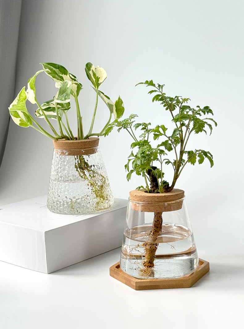 Vaso Idroponico Nordico